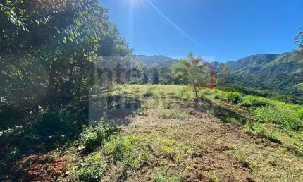 Área à venda no bairro Bairro dos Oliveiras - Pindamonhangaba/SP