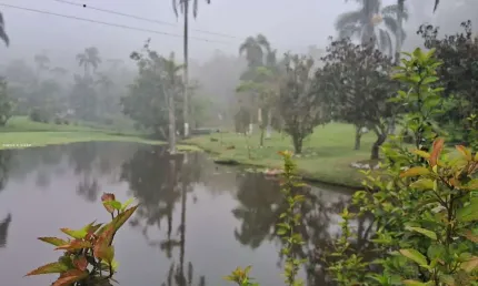 Chácara à Venda c/ Área Gourmet, Lago Nascente Mogi das Cruzes