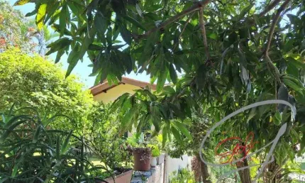 Imperdível oportunidade: Casa de alto padrão com 4 quartos e 2 suítes na Vila São Francisco, São Paulo-SP. Confira!