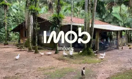Chácara com 47.696 m² de área total, Amizade - Guaramirim