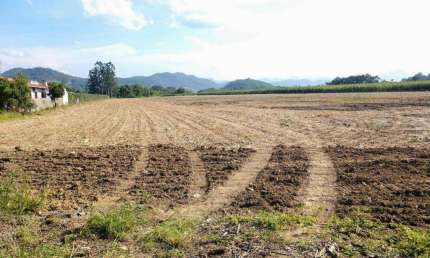 Terreno em frente á BUNGE (( 55.000 m² )) - Venda ou Aluguel - Gaspar/SC