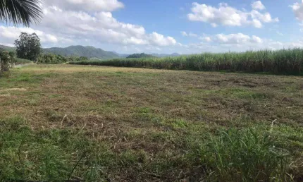 Terreno Rodovia Jorge Lacerda  (( 55.000 m² )) - Aluga ou Vende - Gaspar/SC