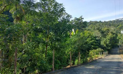 Terreno à venda na Rua Rodrigues Alves, Velha, Blumenau