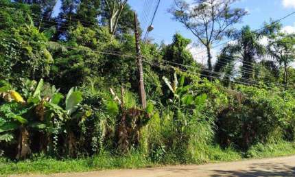 Excelente terreno plano com 1.719,27m² - Velha - Blumenau/SC