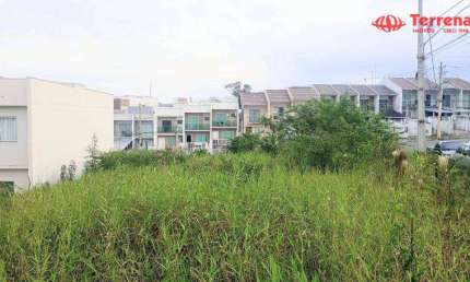 Terreno à venda, 445m² - Fortaleza Alta - Blumenau/SC