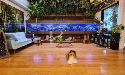 Casa exclusiva, 1.044 m2, 4 pavimentos, 4 dormitórios, 2 suítes, para venda, Alto da Lapa.