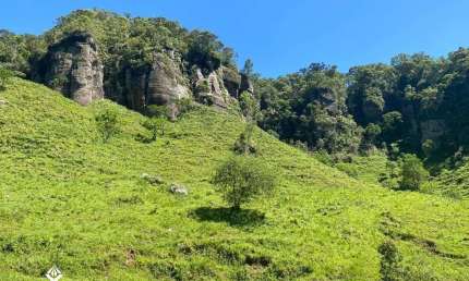 Fazenda à venda na Estrada Geral 2 Irmãos, 1, Zona Rural, Bocaína do Sul