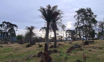área de 14 hectares no vacariano de fácil acesso, próximo a Urubici, Rio Rufino