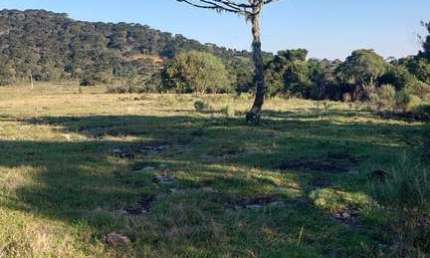 Terreno à venda na Estrada Geral Jararaca, 1, Zona Rural, Urubici