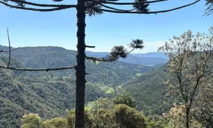 Linda área de 2 hectares localizada na região de Baiano, na Serra dos Bitus