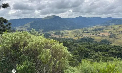 Área rural na Serra Catarinese, com 42 Hectares com excelente aproveitamento