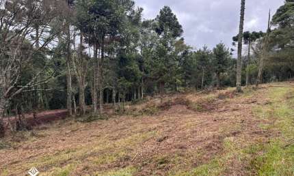Área de 2 hectares à venda em Urubici – Localidade de Santa Tereza