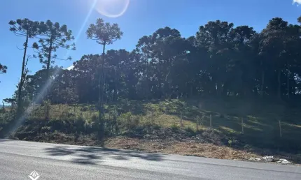 Oportunidade Única! Área de 6,5 Hectares com Potencial Múltiplo em Urubici - SC