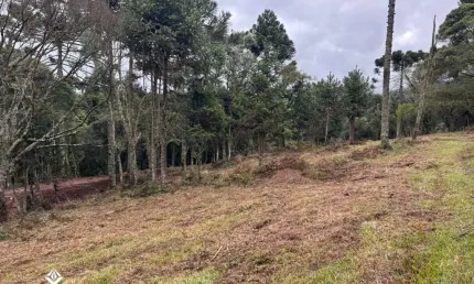 Área de 2 hectares à venda em urubici – localidade de santa tereza