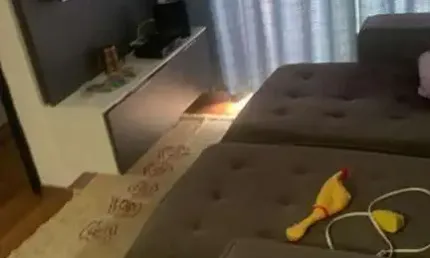 Apartamento para Venda em São Paulo, Jardim Belem, 2 dormitórios, 1 banheiro, 1 vaga