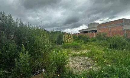 Terreno à venda, 390 m² por R$ 460.000,00 - Afonso Pena - São José dos Pinhais/PR