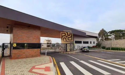 Terreno à venda, 245 m² por R$ 238.000 - Costeira - São José dos Pinhais/PR