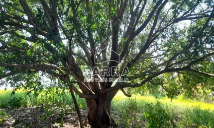 VENDE-SE CHÁCARA NO ESTÂNCIA TRÊS LAGOS - MARILIA/SP