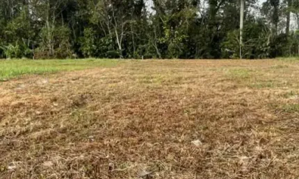 Terreno à venda na Elza Radun Pensky, 18, Vila Nova, Joinville por R$ 315.000