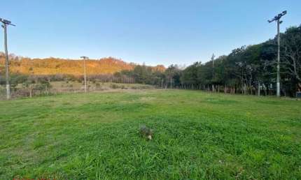 Chácara / sítio com 1 quarto à venda na Área Rural, 01, Zona Rural, Farroupilha por R$ 485.000