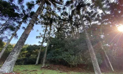 Chácara / sítio com 1 quarto à venda na Porto Alegre, 01, Alvorada, Farroupilha por R$ 940.000