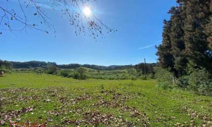 Chácara / sítio com 1 quarto à venda na Área Rural, 04, Zona Rural, Farroupilha por R$ 450.000