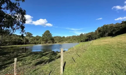 Chácara / sítio à venda na Área Rural, 01, Zona Rural, Farroupilha por R$ 1.500.000