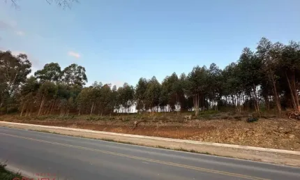Terreno em condomínio fechado à venda na Desvio Blauth, 01, Nova Sardenha (Distrito), Farroupilha por R$ 1.925.000
