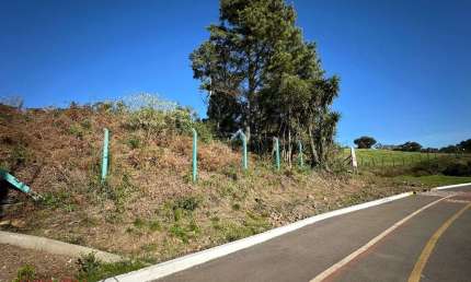 Chácara / sítio à venda na Rodovia dos Romeiros, 01, Cinquentenário, Farroupilha por R$ 2.500.000