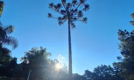 Terreno à venda na Estrada Municipal Vereador Vicente Menezes, 2350, Nossa Senhora da Saúde, Caxias do Sul por R$ 699.000