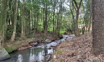 Chácara / sítio à venda na Zona Rural, Farroupilha  por R$ 363.000
