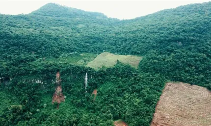 Terreno à venda na zona rural, vale real  por r$ 1.430.000