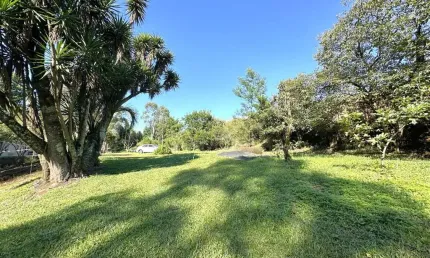 Chácara / sítio com 3 quartos à venda no nova sardenha (distrito), farroupilha , 70 m2 por r$ 980.000