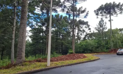 Terreno à venda em Dutra, Gramado 