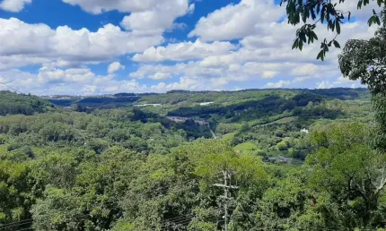 Chácara / sítio à venda no Linha 40, Caxias do Sul , 3340 m2 por R$ 550.000