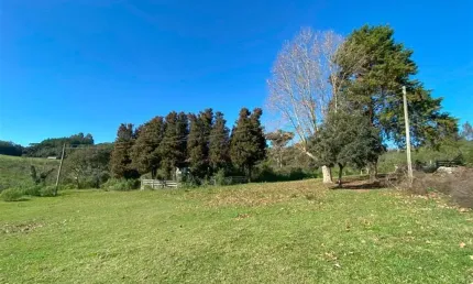 Chácara / sítio com 1 quarto à venda na zona rural, farroupilha  por r$ 450.000