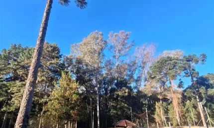 Terreno à venda na Nossa Senhora da Saúde, Caxias do Sul  por R$ 550.000
