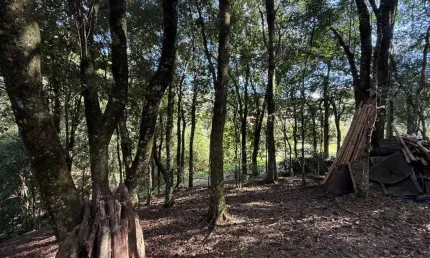 Terreno à venda no salgado filho, caxias do sul  por r$ 1.950.000