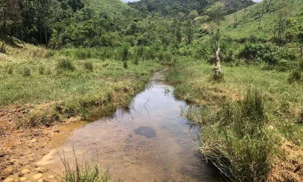 Fazenda à venda no Centro, Trajano de Moraes 