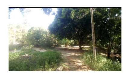 Terreno comercial à venda na Rua I Ferreira, Zona Rural, Taquaraçu de Minas