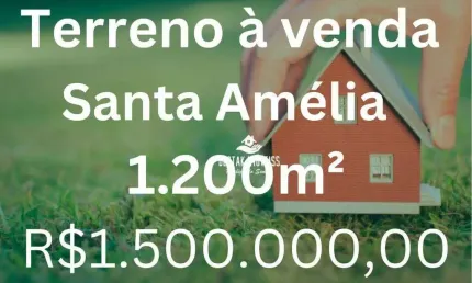 Terreno à venda no Bairro Santa Amélia - Belo Horizonte/MG