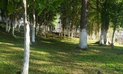Terreno à venda em Serrano, Caxias do Sul 