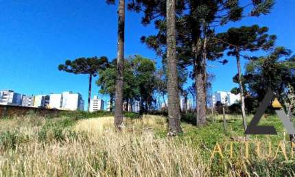 Terreno à venda na Vila Verde, Caxias do Sul 