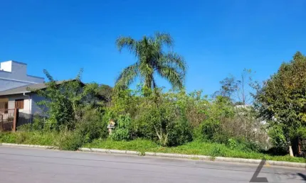 Terreno à venda no Desvio Rizzo, Caxias do Sul 