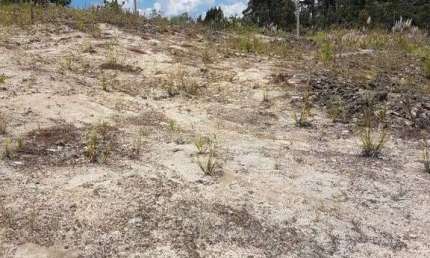 Terreno à venda no Jardim das Hortências, Caxias do Sul 