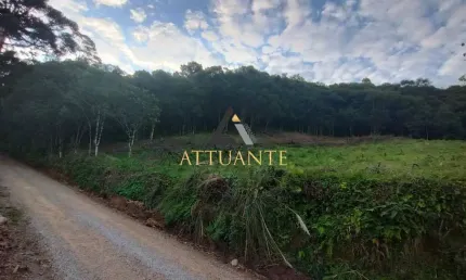 Chácara / sítio à venda na Nossa Senhora das Graças, Caxias do Sul 
