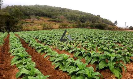 Chácara / sítio à venda na Zona Rural, Mariana Pimentel 