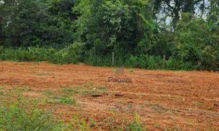 Terreno à venda, 200 m² por R$ 235.000,00 - Pacheco - Palhoça/SC