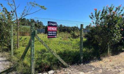 Terreno à venda, 800 m² por R$ 585.000,00 - Balneário Ponta Do Papagaio (Ens Brito) - Palhoça/SC