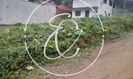 Terreno aclive à venda no bairro Adhemar Garcia, Joinville, SC